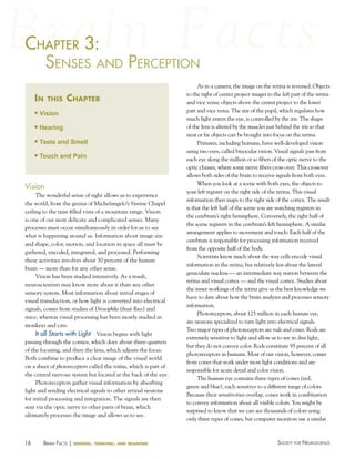 chaPter 3:
haPter
SeNSeS aNd PercePtioN
in

this

chapter

n

Vision

n

Hearing

n

Taste and Smell

n

Touch and Pain

Vision
The wonderful sense of sight allows us to experience
the world, from the genius of Michelangelo’s Sistine Chapel
ceiling to the mist-filled vista of a mountain range. Vision
is one of our most delicate and complicated senses. Many
processes must occur simultaneously in order for us to see
what is happening around us. Information about image size
and shape, color, motion, and location in space all must be
gathered, encoded, integrated, and processed. Performing
these activities involves about 30 percent of the human
brain — more than for any other sense.
Vision has been studied intensively. As a result,
neuroscientists may know more about it than any other
sensory system. Most information about initial stages of
visual transduction, or how light is converted into electrical
signals, comes from studies of Drosophila (fruit flies) and
mice, whereas visual processing has been mostly studied in
monkeys and cats.

It all Starts with Light Vision begins with light
passing through the cornea, which does about three-quarters
of the focusing, and then the lens, which adjusts the focus.
Both combine to produce a clear image of the visual world
on a sheet of photoreceptors called the retina, which is part of
the central nervous system but located at the back of the eye.
Photoreceptors gather visual information by absorbing
light and sending electrical signals to other retinal neurons
for initial processing and integration. The signals are then
sent via the optic nerve to other parts of brain, which
ultimately processes the image and allows us to see.

18

BraiN factS | sensing,

thinking, and behaving

As in a camera, the image on the retina is reversed: Objects
to the right of center project images to the left part of the retina
and vice versa; objects above the center project to the lower
part and vice versa. The size of the pupil, which regulates how
much light enters the eye, is controlled by the iris. The shape
of the lens is altered by the muscles just behind the iris so that
near or far objects can be brought into focus on the retina.
Primates, including humans, have well-developed vision
using two eyes, called binocular vision. Visual signals pass from
each eye along the million or so fibers of the optic nerve to the
optic chiasm, where some nerve fibers cross over. This crossover
allows both sides of the brain to receive signals from both eyes.
When you look at a scene with both eyes, the objects to
your left register on the right side of the retina. This visual
information then maps to the right side of the cortex. The result
is that the left half of the scene you are watching registers in
the cerebrum’s right hemisphere. Conversely, the right half of
the scene registers in the cerebrum’s left hemisphere. A similar
arrangement applies to movement and touch: Each half of the
cerebrum is responsible for processing information received
from the opposite half of the body.
Scientists know much about the way cells encode visual
information in the retina, but relatively less about the lateral
geniculate nucleus — an intermediate way station between the
retina and visual cortex — and the visual cortex. Studies about
the inner workings of the retina give us the best knowledge we
have to date about how the brain analyzes and processes sensory
information.
Photoreceptors, about 125 million in each human eye,
are neurons specialized to turn light into electrical signals.
Two major types of photoreceptors are rods and cones. Rods are
extremely sensitive to light and allow us to see in dim light,
but they do not convey color. Rods constitute 95 percent of all
photoreceptors in humans. Most of our vision, however, comes
from cones that work under most light conditions and are
responsible for acute detail and color vision.
The human eye contains three types of cones (red,
green and blue), each sensitive to a different range of colors.
Because their sensitivities overlap, cones work in combination
to convey information about all visible colors. You might be
surprised to know that we can see thousands of colors using
only three types of cones, but computer monitors use a similar

Society for NeuroScieNce

 