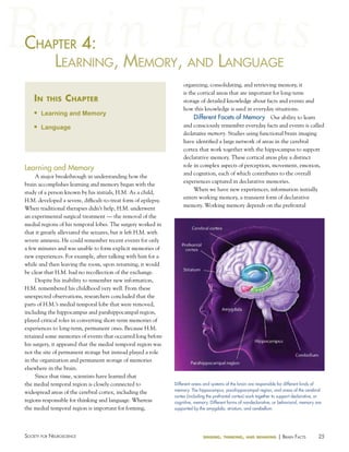 chaPter 4:
haPter
learNiNg, MeMory, aNd laNguage
in

this

chapter

n

Learning and Memory

n

Language

Learning and Memory
A major breakthrough in understanding how the
brain accomplishes learning and memory began with the
study of a person known by his initials, H.M. As a child,
H.M. developed a severe, difficult-to-treat form of epilepsy.
When traditional therapies didn’t help, H.M. underwent
an experimental surgical treatment — the removal of the
medial regions of his temporal lobes. The surgery worked in
that it greatly alleviated the seizures, but it left H.M. with
severe amnesia. He could remember recent events for only
a few minutes and was unable to form explicit memories of
new experiences. For example, after talking with him for a
while and then leaving the room, upon returning, it would
be clear that H.M. had no recollection of the exchange.
Despite his inability to remember new information,
H.M. remembered his childhood very well. From these
unexpected observations, researchers concluded that the
parts of H.M.’s medial temporal lobe that were removed,
including the hippocampus and parahippocampal region,
played critical roles in converting short-term memories of
experiences to long-term, permanent ones. Because H.M.
retained some memories of events that occurred long before
his surgery, it appeared that the medial temporal region was
not the site of permanent storage but instead played a role
in the organization and permanent storage of memories
elsewhere in the brain.
Since that time, scientists have learned that
the medial temporal region is closely connected to
widespread areas of the cerebral cortex, including the
regions responsible for thinking and language. Whereas
the medial temporal region is important for forming,

Society for NeuroScieNce

organizing, consolidating, and retrieving memory, it
is the cortical areas that are important for long-term
storage of detailed knowledge about facts and events and
how this knowledge is used in everyday situations.

Different Facets of Memory Our ability to learn
and consciously remember everyday facts and events is called
declarative memory. Studies using functional brain imaging
have identified a large network of areas in the cerebral
cortex that work together with the hippocampus to support
declarative memory. These cortical areas play a distinct
role in complex aspects of perception, movement, emotion,
and cognition, each of which contributes to the overall
experiences captured in declarative memories.
When we have new experiences, information initially
enters working memory, a transient form of declarative
memory. Working memory depends on the prefrontal

Different areas and systems of the brain are responsible for different kinds of
memory. The hippocampus, parahippocampal region, and areas of the cerebral
cortex (including the prefrontal cortex) work together to support declarative, or
cognitive, memory. Different forms of nondeclarative, or behavioral, memory are
supported by the amygdala, striatum, and cerebellum.

sensing, thinking, and behaving

| BraiN factS

25

 