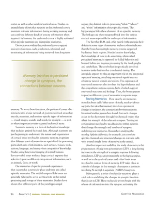 cortex as well as other cerebral cortical areas. Studies on
animals have shown that neurons in the prefrontal cortex
maintain relevant information during working memory and
can combine different kinds of sensory information when
required. In humans, the prefrontal cortex is highly activated
when people maintain and manipulate memories.
Distinct areas within the prefrontal cortex support
executive functions, such as selection, rehearsal, and
monitoring of information being retrieved from long-term

Memory involves a persistent
change in synapses, the
connections between neurons.

memory. To serve these functions, the prefrontal cortex also
interacts with a large network of posterior cortical areas that
encode, maintain, and retrieve specific types of information
— visual images, sounds, and words, for example — as well
as where important events occurred and much more.
Semantic memory is a form of declarative knowledge
that includes general facts and data. Although scientists are
just beginning to understand the nature and organization
of cortical areas involved in semantic memory, it appears
that different cortical networks are specialized for processing
particular kinds of information, such as faces, houses, tools,
actions, language, and many other categories of knowledge.
Studies using functional imaging of normal humans
have revealed zones within a large cortical expanse that
selectively process different categories of information, such
as animals, faces, or words.
Our memories of specific personal experiences
that occurred at a particular place and time are called
episodic memories. The medial temporal lobe areas are
generally believed to serve a critical role in the initial
processing and storage of these memories. Studies have
shown that different parts of the parahippocampal

26

BraiN factS | sensing,

thinking, and behaving

region play distinct roles in processing “what,” “where,”
and “when” information about specific events. The
hippocampus links these elements of an episodic memory.
The linkages are then integrated back into the various
cortical areas responsible for each type of information.
The fact that H.M. and other people with amnesia show
deficits in some types of memories and not others indicates
that the brain has multiple memory systems supported
by distinct brain regions. Nondeclarative knowledge,
the knowledge of how to do something, often called
procedural memory, is expressed in skilled behavior and
learned habits and requires processing by the basal ganglia
and cerebellum. The cerebellum is specifically involved
in motor tasks that involve coordinated timing. The
amygdala appears to play an important role in the emotional
aspects of memory, attaching emotional significance to
otherwise neutral stimuli and events. The expression of
emotional memories also involves the hypothalamus and
the sympathetic nervous system, both of which support
emotional reactions and feelings. Thus, the brain appears
to process different types of memories in separate ways.

Storing Memories How exactly are memories
stored in brain cells? After years of study, much evidence
supports the idea that memory involves a persistent
change in synapses, the connections between neurons.
In animal studies, researchers found that such changes
occur in the short term through biochemical events that
affect the strength of the relevant synapses. Turning on
certain genes may lead to modifications within neurons
that change the strength and number of synapses,
stabilizing new memories. Researchers studying the
sea slug Aplysia californica, for example, can correlate
specific chemical and structural changes in relevant cells
with several simple forms of memory in the animal.
Another important model for the study of memory is the
phenomenon of long-term potentiation (LTP), a long-lasting
increase in the strength of a synaptic response following
stimulation. LTP occurs prominently in the hippocampus,
as well as in the cerebral cortex and other brain areas
involved in various forms of memory. LTP takes place as
a result of changes in the strength of synapses at contacts
involving N-methyl-d-aspartate (NMDA) receptors.
Subsequently, a series of molecular reactions plays a
vital role in stabilizing the changes in synaptic function
that occur in LTP. These molecular events begin with the
release of calcium ions into the synapse, activating the
Society for NeuroScieNce

 