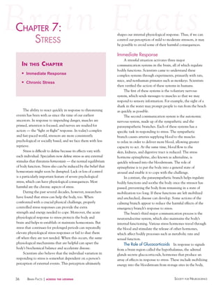 chaPter 7:
haPter
StreSS

shapes our internal physiological response. Thus, if we can
control our perception of mild to moderate stressors, it may
be possible to avoid some of their harmful consequences.

Immediate Response

in

this

chapter

n

Immediate Response

n

Chronic Stress

The ability to react quickly in response to threatening
events has been with us since the time of our earliest
ancestors. In response to impending danger, muscles are
primed, attention is focused, and nerves are readied for
action — the “fight or flight” response. In today’s complex
and fast-paced world, stressors are more consistently
psychological or socially based, and we face them with less
reprieve.
Stress is difficult to define because its effects vary with
each individual. Specialists now define stress as any external
stimulus that threatens homeostasis — the normal equilibrium
of body function. Stress also can be induced by the belief that
homeostasis might soon be disrupted. Lack or loss of control
is a particularly important feature of severe psychological
stress, which can have physiological consequences. Most
harmful are the chronic aspects of stress.
During the past several decades, however, researchers
have found that stress can help the body, too. When
confronted with a crucial physical challenge, properly
controlled stress responses can provide the extra
strength and energy needed to cope. Moreover, the acute
physiological response to stress protects the body and
brain and helps re-establish or maintain homeostasis. But
stress that continues for prolonged periods can repeatedly
elevate physiological stress responses or fail to shut them
off when they are not needed. When this occurs, the same
physiological mechanisms that are helpful can upset the
body’s biochemical balance and accelerate disease.
Scientists also believe that the individual variation in
responding to stress is somewhat dependent on a person’s
perception of external events. This perception ultimately

36

BraiN factS | across

the lifespan

A stressful situation activates three major
communication systems in the brain, all of which regulate
bodily functions. Scientists came to understand these
complex systems through experiments, primarily with rats,
mice, and nonhuman primates such as monkeys. Scientists
then verified the action of these systems in humans.
The first of these systems is the voluntary nervous
system, which sends messages to muscles so that we may
respond to sensory information. For example, the sight of a
shark in the water may prompt people to run from the beach
as quickly as possible.
The second communication system is the autonomic
nervous system, made up of the sympathetic and the
parasympathetic branches. Each of these systems has a
specific task in responding to stress. The sympathetic
branch causes arteries supplying blood to the muscles
to relax in order to deliver more blood, allowing greater
capacity to act. At the same time, blood flow to the
skin, kidneys, and digestive tract is reduced. The stress
hormone epinephrine, also known as adrenaline, is
quickly released into the bloodstream. The role of
epinephrine is to put the body into a general state of
arousal and enable it to cope with the challenge.
In contrast, the parasympathetic branch helps regulate
bodily functions and soothe the body once the stressor has
passed, preventing the body from remaining in a state of
mobilization too long. If these functions are left mobilized
and unchecked, disease can develop. Some actions of the
calming branch appear to reduce the harmful effects of the
emergency branch’s response to stress.
The brain’s third major communication process is the
neuroendocrine system, which also maintains the body’s
internal functioning. Various stress hormones travel through
the blood and stimulate the release of other hormones,
which affect bodily processes such as metabolic rate and
sexual function.

The Role of Glucocorticoids In response to signals
from a brain region called the hypothalamus, the adrenal
glands secrete glucocorticoids, hormones that produce an
array of effects in response to stress. These include mobilizing
energy into the bloodstream from storage sites in the body,
Society for NeuroScieNce

 