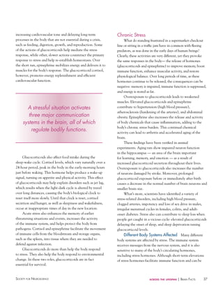 increasing cardiovascular tone and delaying long-term
processes in the body that are not essential during a crisis,
such as feeding, digestion, growth, and reproduction. Some
of the actions of glucocorticoids help mediate the stress
response, while other, slower actions counteract the primary
response to stress and help re-establish homeostasis. Over
the short run, epinephrine mobilizes energy and delivers it to
muscles for the body’s response. The glucocorticoid cortisol,
however, promotes energy replenishment and efficient
cardiovascular function.

A stressful situation activates
three major communication
systems in the brain, all of which
regulate bodily functions.

Glucocorticoids also affect food intake during the
sleep-wake cycle. Cortisol levels, which vary naturally over a
24-hour period, peak in the body in the early-morning hours
just before waking. This hormone helps produce a wake-up
signal, turning on appetite and physical activity. This effect
of glucocorticoids may help explain disorders such as jet lag,
which results when the light-dark cycle is altered by travel
over long distances, causing the body’s biological clock to
reset itself more slowly. Until that clock is reset, cortisol
secretion and hunger, as well as sleepiness and wakefulness,
occur at inappropriate times of day in the new location.
Acute stress also enhances the memory of earlier
threatening situations and events, increases the activity
of the immune system, and helps protect the body from
pathogens. Cortisol and epinephrine facilitate the movement
of immune cells from the bloodstream and storage organs,
such as the spleen, into tissue where they are needed to
defend against infection.
Glucocorticoids do more than help the body respond
to stress. They also help the body respond to environmental
change. In these two roles, glucocorticoids are in fact
essential for survival.

Society for NeuroScieNce

Chronic Stress
What do standing frustrated in a supermarket checkout
line or sitting in a traffic jam have in common with fleeing
predators, as was done in the early days of human beings?
Clearly, these activities are very different, yet they provoke
the same responses in the body— the release of hormones
(glucocorticoids and epinephrine) to improve memory, boost
immune function, enhance muscular activity, and restore
physiological balance. Over long periods of time, as these
hormones continue to be released, the consequences can be
negative: memory is impaired, immune function is suppressed,
and energy is stored as fat.
Overexposure to glucocorticoids leads to weakened
muscles. Elevated glucocorticoids and epinephrine
contribute to hypertension (high blood pressure),
atherosclerosis (hardening of the arteries), and abdominal
obesity. Epinephrine also increases the release and activity
of body chemicals that cause inflammation, adding to the
body’s chronic stress burden. This continual chemical
activity can lead to arthritis and accelerated aging of the
brain.
These findings have been verified in animal
experiments. Aging rats show impaired neuron function
in the hippocampus — an area of the brain important
for learning, memory, and emotion — as a result of
increased glucocorticoid secretion throughout their lives.
Overexposure to glucocorticoids also increases the number
of neurons damaged by stroke. Moreover, prolonged
glucocorticoid exposure before or immediately after birth
causes a decrease in the normal number of brain neurons and
smaller brain size.
What’s more, scientists have identified a variety of
stress-related disorders, including high blood pressure,
clogged arteries, impotency and loss of sex drive in males,
irregular menstrual cycles in females, colitis, and adultonset diabetes. Stress also can contribute to sleep loss when
people get caught in a vicious cycle: elevated glucocorticoids
delaying the onset of sleep, and sleep deprivation raising
glucocorticoid levels.

Different Body Systems Affected Many different
body systems are affected by stress. The immune system
receives messages from the nervous system, and it is also
sensitive to many of the body’s circulating hormones,
including stress hormones. Although short-term elevations
of stress hormones facilitate immune function and can be

across the lifespan

| BraiN factS

37

 