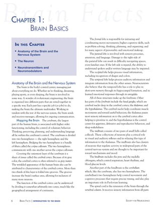 chaPter 1:
haPter
BraiN BaSicS
in

this

chapter

n

Anatomy of the Brain and the
Nervous System

n

The Neuron

n

Neurotransmitters and
Neuromodulators

Anatomy of the Brain and the Nervous System
The brain is the body’s control center, managing just
about everything we do. Whether we’re thinking, dreaming,
playing sports, or even sleeping, the brain is involved in
some way. A wonder of evolutionary engineering, the brain
is organized into different parts that are wired together in
a specific way. Each part has a specific job (or jobs) to do,
making the brain the ultimate multitasker. Working in
tandem with the rest of the nervous system, the brain sends
and receives messages, allowing for ongoing communication.
Mapping the Brain The cerebrum, the largest
part of the human brain, is associated with higher order
functioning, including the control of voluntary behavior.
Thinking, perceiving, planning, and understanding language
all lie within the cerebrum’s control. The cerebrum is divided
into two hemispheres — the right hemisphere and the
left hemisphere. Bridging the two hemispheres is a bundle
of fibers called the corpus callosum. The two hemispheres
communicate with one another across the corpus callosum.
Covering the outermost layer of the cerebrum is a
sheet of tissue called the cerebral cortex. Because of its gray
color, the cerebral cortex is often referred to as gray matter.
The wrinkled appearance of the human brain also can be
attributed to characteristics of the cerebral cortex. More than
two-thirds of this layer is folded into grooves. The grooves
increase the brain’s surface area, allowing for inclusion of
many more neurons.
The function of the cerebral cortex can be understood
by dividing it somewhat arbitrarily into zones, much like the
geographical arrangement of continents.

6

BraiN factS | introduction

to the brain

The frontal lobe is responsible for initiating and
coordinating motor movements; higher cognitive skills, such
as problem solving, thinking, planning, and organizing; and
for many aspects of personality and emotional makeup.
The parietal lobe is involved with sensory processes,
attention, and language. Damage to the right side of
the parietal lobe can result in difficulty navigating spaces,
even familiar ones. If the left side is injured, the ability to
understand spoken and/or written language may be impaired.
The occipital lobe helps process visual information,
including recognition of shapes and colors.
The temporal lobe helps process auditory information and
integrate information from the other senses. Neuroscientists
also believe that the temporal lobe has a role to play in
short-term memory through its hippocampal formation, and in
learned emotional responses through its amygdala.
All of these structures make up the forebrain. Other
key parts of the forebrain include the basal ganglia, which are
cerebral nuclei deep in the cerebral cortex; the thalamus; and
the hypothalamus. The cerebral nuclei help coordinate muscle
movements and reward useful behaviors; the thalamus passes
most sensory information on to the cerebral cortex after
helping to prioritize it; and the hypothalamus is the control
center for appetites, defensive and reproductive behaviors, and
sleep-wakefulness.
The midbrain consists of two pairs of small hills called
colliculi. These collections of neurons play a critical role
in visual and auditory reflexes and in relaying this type of
information to the thalamus. The midbrain also has clusters
of neurons that regulate activity in widespread parts of the
central nervous system and are thought to be important for
reward mechanisms and mood.
The hindbrain includes the pons and the medulla
oblongata, which control respiration, heart rhythms, and
blood glucose levels.
Another part of the hindbrain is the cerebellum
which, like the cerebrum, also has two hemispheres. The
cerebellum’s two hemispheres help control movement and
cognitive processes that require precise timing, and also play
an important role in Pavlovian learning.
The spinal cord is the extension of the brain through the
vertebral column. It receives sensory information from all parts

Society for NeuroScieNce

 