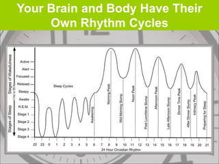 Brain Facts Series 09 - Secrets of the Brain.ppt