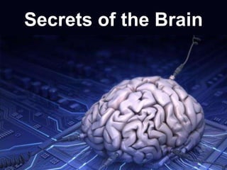 Brain Facts Series 09 - Secrets of the Brain.ppt