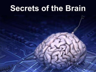 Secrets of the Brain
 