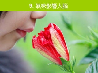9. 氣味影響大腦
 