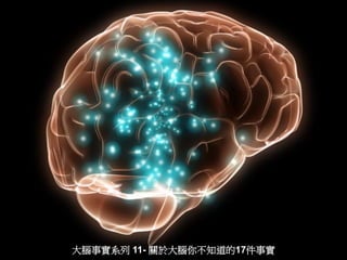 大腦事實系列 11- 關於大腦你不知道的17件事實
 