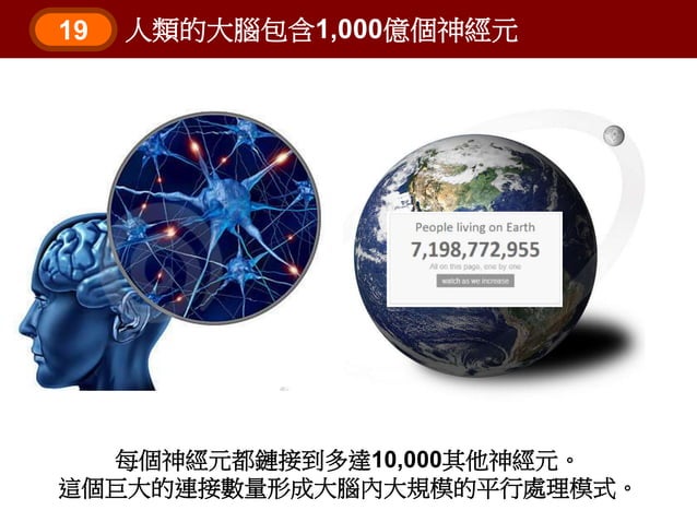 AMAZING FACTS ABOUT THE HUMAN BRAIN visual data 6