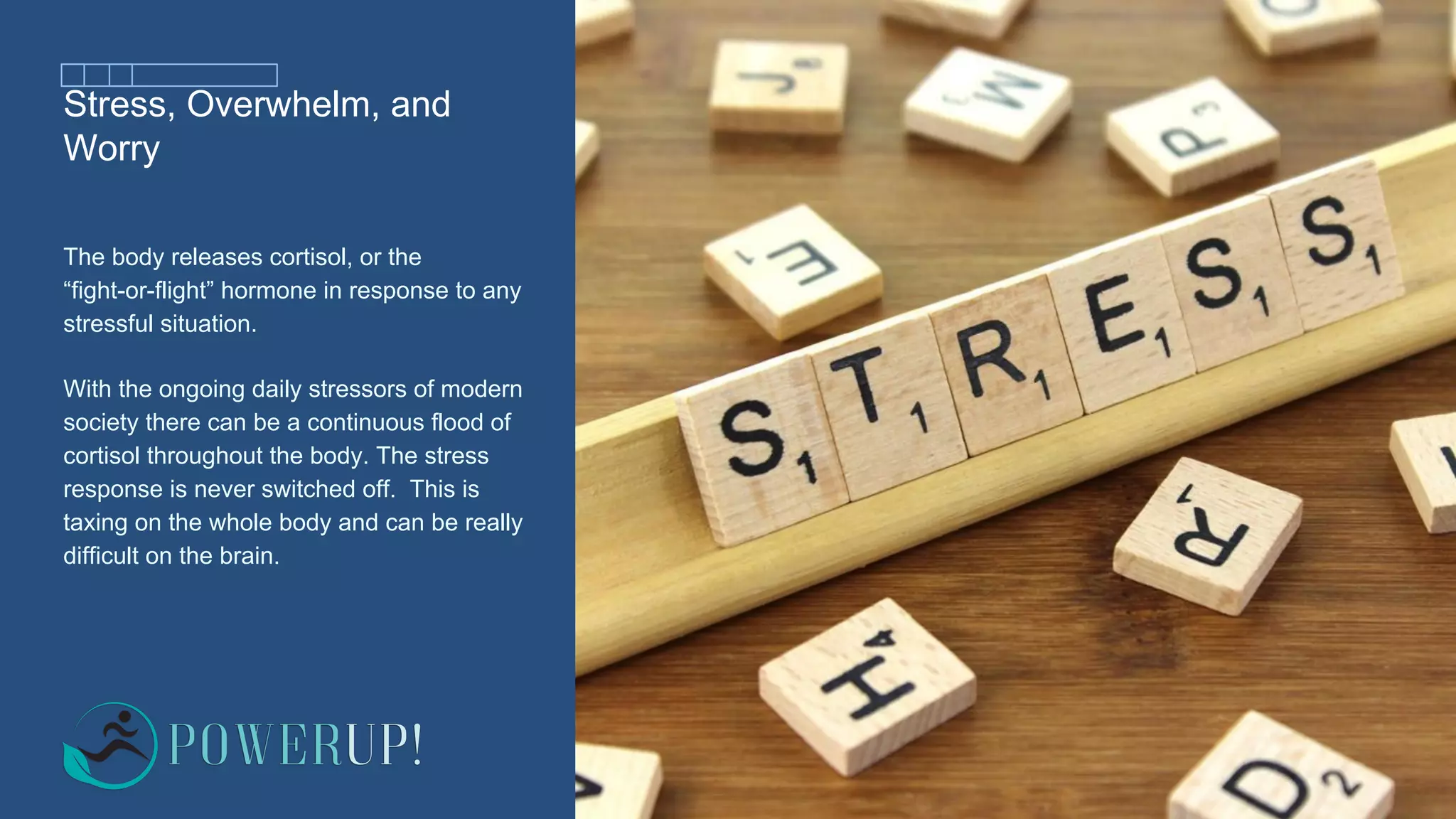 Stress, Overwhelm, and
Worry
The body releases cortisol, or the
“fight-or-flight” hormone in response to any
stressful situation.
With the ongoing daily stressors of modern
society there can be a continuous flood of
cortisol throughout the body. The stress
response is never switched off. This is
taxing on the whole body and can be really
difficult on the brain.
 