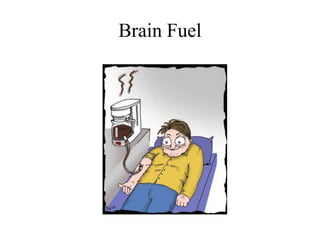 Brain Fuel
 