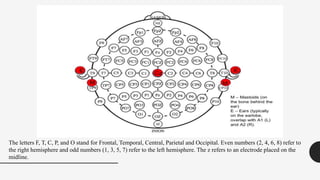 The letters F, T, C, P, and O stand for Frontal, Temporal, Central, Parietal and Occipital. Even numbers (2, 4, 6, 8) refer to
the right hemisphere and odd numbers (1, 3, 5, 7) refer to the left hemisphere. The z refers to an electrode placed on the
midline.
 