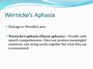 Wernicke’s Aphasia
— Damage to Wernike’s area
— Wernicke’s aphasia (fluent aphasia) = Trouble with
speech comprehension. Also cant producemeaningful
sentences, can string words together but what they say
is nonsensical.
 