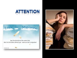 ATTENTION




                           Jesseliebman.com
lumosity.com
 