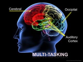 Cerebral              Occipital




                       Auditory
                        Cortex



           MULTI-TASKING
                       advancedcognitivepsychology.blogspot
 