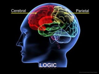 Cerebral           Parietal




           LOGIC
                    advancedcognitivepsychology.blogspot
 
