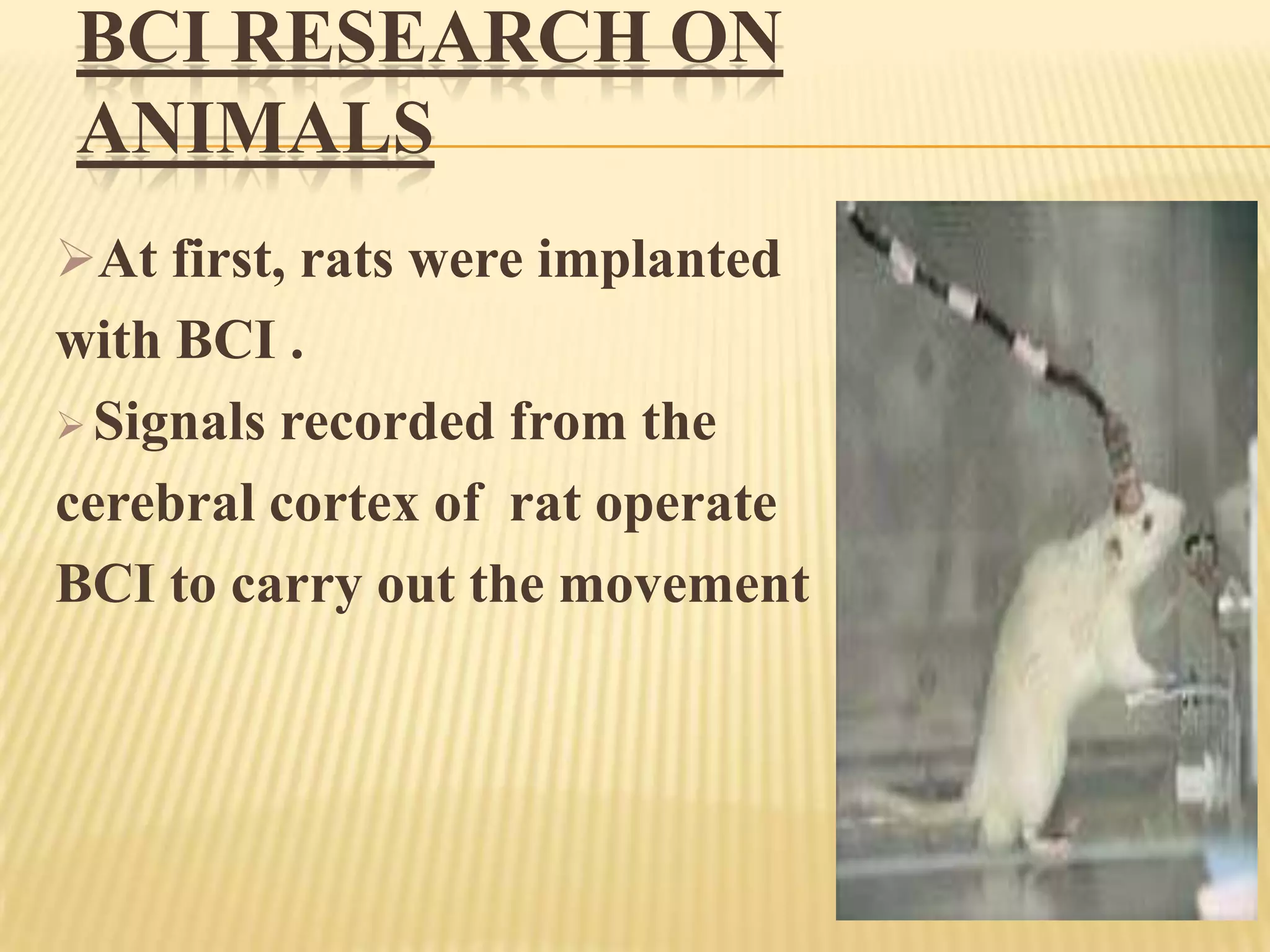 BCI RESEARCH ON
ANIMALS
At first, rats were implanted

with BCI .
 Signals recorded from the
cerebral cortex of rat operate
BCI to carry out the movement

 