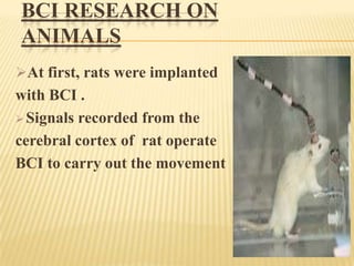 BCI RESEARCH ON
ANIMALS
At first, rats were implanted

with BCI .
 Signals recorded from the
cerebral cortex of rat operate
BCI to carry out the movement

 