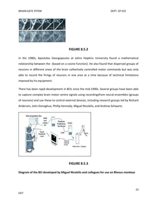 BRIAIN GATE SYTEM

DEPT. OF ECE

FIGURE 8.5.2
In the 1980s, Apostolos Georgopoulos at Johns Hopkins University found a mathematical
relationship between the (based on a cosine function). He also found that dispersed groups of
neurons in different areas of the brain collectively controlled motor commands but was only
able to record the firings of neurons in one area at a time because of technical limitations
imposed by his equipment.
There has been rapid development in BCIs since the mid-1990s. Several groups have been able
to capture complex brain motor centre signals using recordingsfrom neural ensembles (groups
of neurons) and use these to control external devices, including research groups led by Richard
Andersen, John Donoghue, Phillip Kennedy, Miguel Nicolelis, and Andrew Schwartz.

FIGURE 8.5.3
Diagram of the BCI developed by Miguel Nicolelis and collegues for use on Rhesus monkeys

23
EIET

 