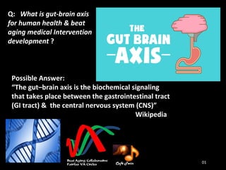 Q: What is gut-brain axis
for human health & beat
aging medical Intervention
development ?
Possible Answer:
“The gut–brain axis is the biochemical signaling
that takes place between the gastrointestinal tract
(GI tract) & the central nervous system (CNS)”
Wikipedia
01
 