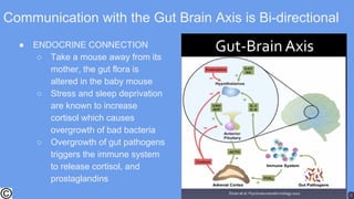 Communication with the Gut Brain Axis is Bi-directional
● ENDOCRINE CONNECTION
○ Take a mouse away from its
mother, the gut flora is
altered in the baby mouse
○ Stress and sleep deprivation
are known to increase
cortisol which causes
overgrowth of bad bacteria
○ Overgrowth of gut pathogens
triggers the immune system
to release cortisol, and
prostaglandins
 