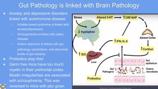 Gut Pathology is linked with Brain Pathology
● Anxiety and depressive disorders
linked with autoimmune disease
○ Irritable bowel syndrome is linked with
anxiety/depression
○ Schizophrenia is linked with celiac
disease
○ Autism spectrum is linked with gut
pathology (clostridium, and abnormal
levels of gut bacteria
● Probiotics stop this!
● Germ free mice have too much
myelin in their prefrontal cortex.
Myelin irregularities are associated
with schizophrenia. This was
reversed in mice with pbx given
 