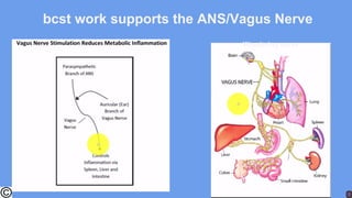 bcst work supports the ANS/Vagus Nerve
Wandering nerve
 