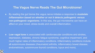 The Vagus Nerve Reads The Gut Microbiome!
● By reading the gut biome the vagus nerve initiates a response to modulate
inflammation based on whether or not it detects pathogenic versus
non-pathogenic organisms. In this way, the gut microbiome can have an
affect on your mood, stress levels and overall inflammation.
● Low vagal tone is associated with cardiovascular conditions and strokes,
depression, diabetes, chronic fatigue syndrome, cognitive impairment, and
much higher rates of inflammatory conditions. Inflammatory conditions include
all autoimmune diseases (rheumatoid arthritis, inflammatory bowel disease,
endometriosis, autoimmune thyroid conditions, lupus and more).
 