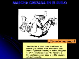 Tumbado en el suelo sobre la espalda, las
rodillas y la cabeza están levantadas y las
manos sujetan la cabeza por detrás. Imaginar
una “x” entre las caderas y los hombros e
intentar tocar con un codo la rodilla opuesta
alternativamente.
¿Cómo lo hacemos?
MARCHA CRUZADA EN EL SUELO
 