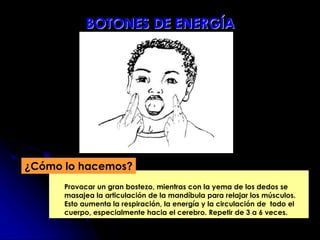  Provocar un gran bostezo, mientras con la yema de los dedos se
masajea la articulación de la mandíbula para relajar los músculos.
Esto aumenta la respiración, la energía y la circulación de todo el
cuerpo, especialmente hacia el cerebro. Repetir de 3 a 6 veces.
¿Cómo lo hacemos?
BOTONES DE ENERGÍA
 