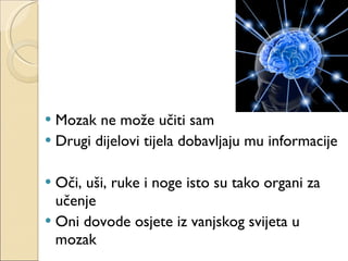 Mozak ne može učiti sam Drugi dijelovi tijela dobavljaju mu informacije Oči, uši, ruke i noge isto su tako organi za učenje Oni dovode osjete iz vanjskog svijeta u mozak 