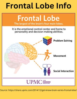 Source: https://share.upmc.com/2014/12/get-know-brain-series-frontal-lobe/
Frontal Lobe Info
 