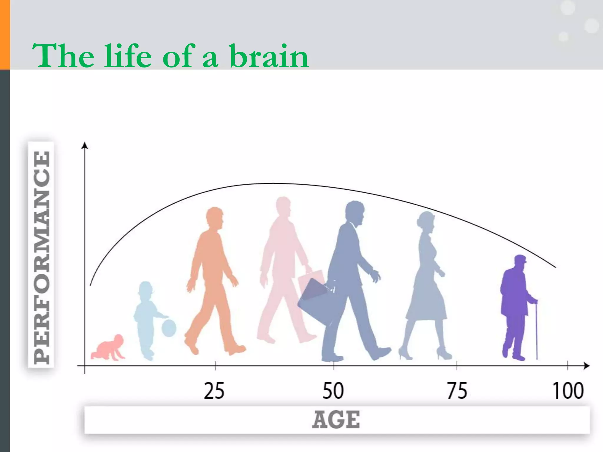 The life of a brain
 