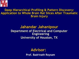 Jahandar Jahanipour
Department of Electrical and Computer
Engineering
University of Houston, TX
Deep Hierarchical Profiling & Pattern Discovery:
Application to Whole Brain Rat Slices After Traumatic
Brain Injury
Advisor:
Prof. Badrinath Roysam
 