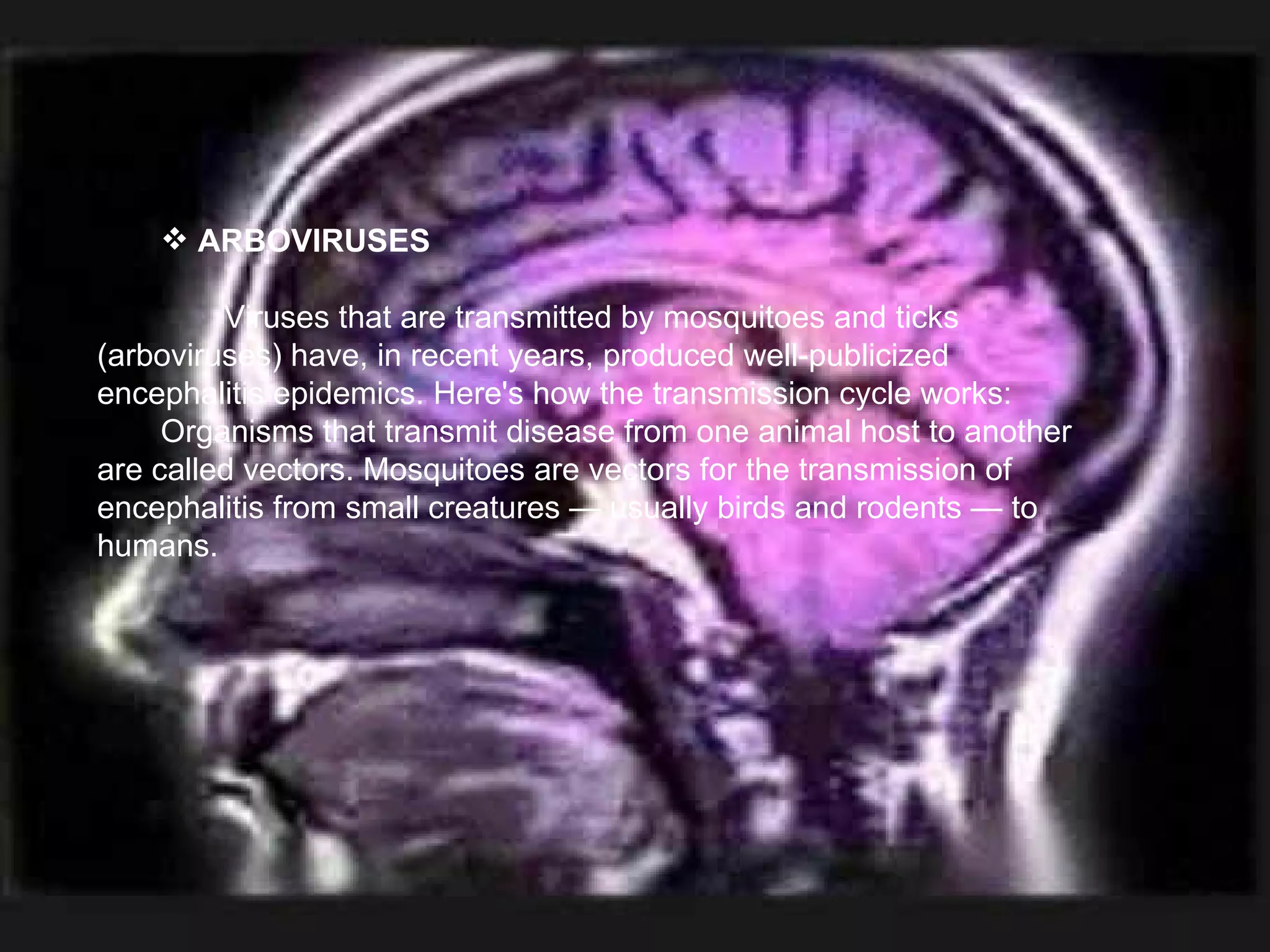ARBOVIRUSES   Viruses that are transmitted by mosquitoes and ticks (arboviruses) have, in recent years, produced well-publicized encephalitis epidemics. Here's how the transmission cycle works: Organisms that transmit disease from one animal host to another are called vectors. Mosquitoes are vectors for the transmission of encephalitis from small creatures — usually birds and rodents — to humans. 