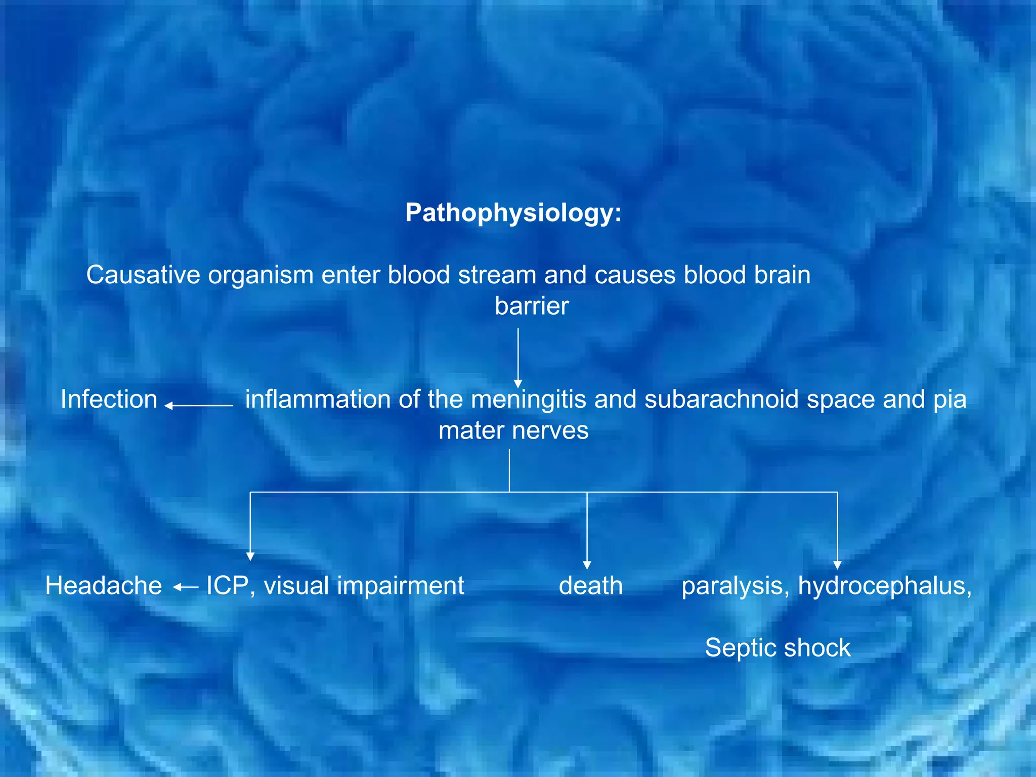 Pathophysiology: Causative organism enter blood stream and causes blood brain  barrier Infection  inflammation of the meningitis and subarachnoid space and pia mater nerves Headache  ICP, visual impairment  death  paralysis, hydrocephalus,  Septic shock 