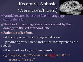  Wernicke’s area is responsible for language
comprehension
 This kind of language disorder is caused by the
damage in the left temporal lobe
 Patients suffer from:-
- difficulty in understanding what is said
- producing very fluent and quick incomprehensible
speech
- the use of neologism (new words)
e.g.: they may say ;“the book on the trit over there”
to mean; “the shelf”
Receptive Aphasia
(Wernicke’s/Fluent)
 