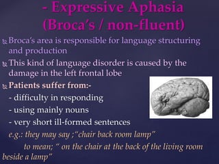  Broca’s area is responsible for language structuring
and production
 This kind of language disorder is caused by the
damage in the left frontal lobe
 Patients suffer from:-
- difficulty in responding
- using mainly nouns
- very short ill-formed sentences
e.g.: they may say ;“chair back room lamp”
to mean; “ on the chair at the back of the living room
beside a lamp”
- Expressive Aphasia
(Broca’s / non-fluent)
 