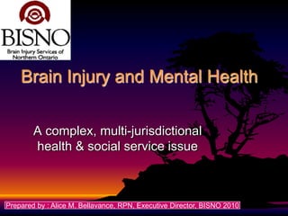 Brain Injury and Mental Health


        A complex, multi-jurisdictional
        health & social service issue



Prepared by : Alice M. Bellavance, RPN, Executive Director, BISNO 2010
 