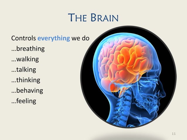 brain-injury-ppt-ppt