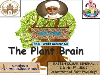 The Plant Brain
RAJESH KUMAR SINGHAL
I.D No. PP-15017
Department of Plant Physiology
SUPERVISER
Prof. (Mrs.) BANDANA BOSE
Ph.D Credit Seminar On
WELCOME
 