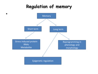 Brain in plant | PPTX