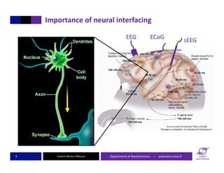 Interfacing with the brain using organic electronics | PDF