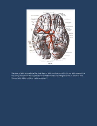 The circle of Willis (also called Willis' circle, loop of Willis, cerebral arterial circle, and Willis polygon) is a
circulatory anastomosis that supplies blood to the brain and surrounding structures. It is named after
Thomas Willis (1621–1675), an English physician.[1]
 