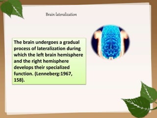 The brain undergoes a gradual
process of lateralization during
which the left brain hemisphere
and the right hemisphere
develops their specialized
function. (Lenneberg:1967,
158).
Brain lateralization
 