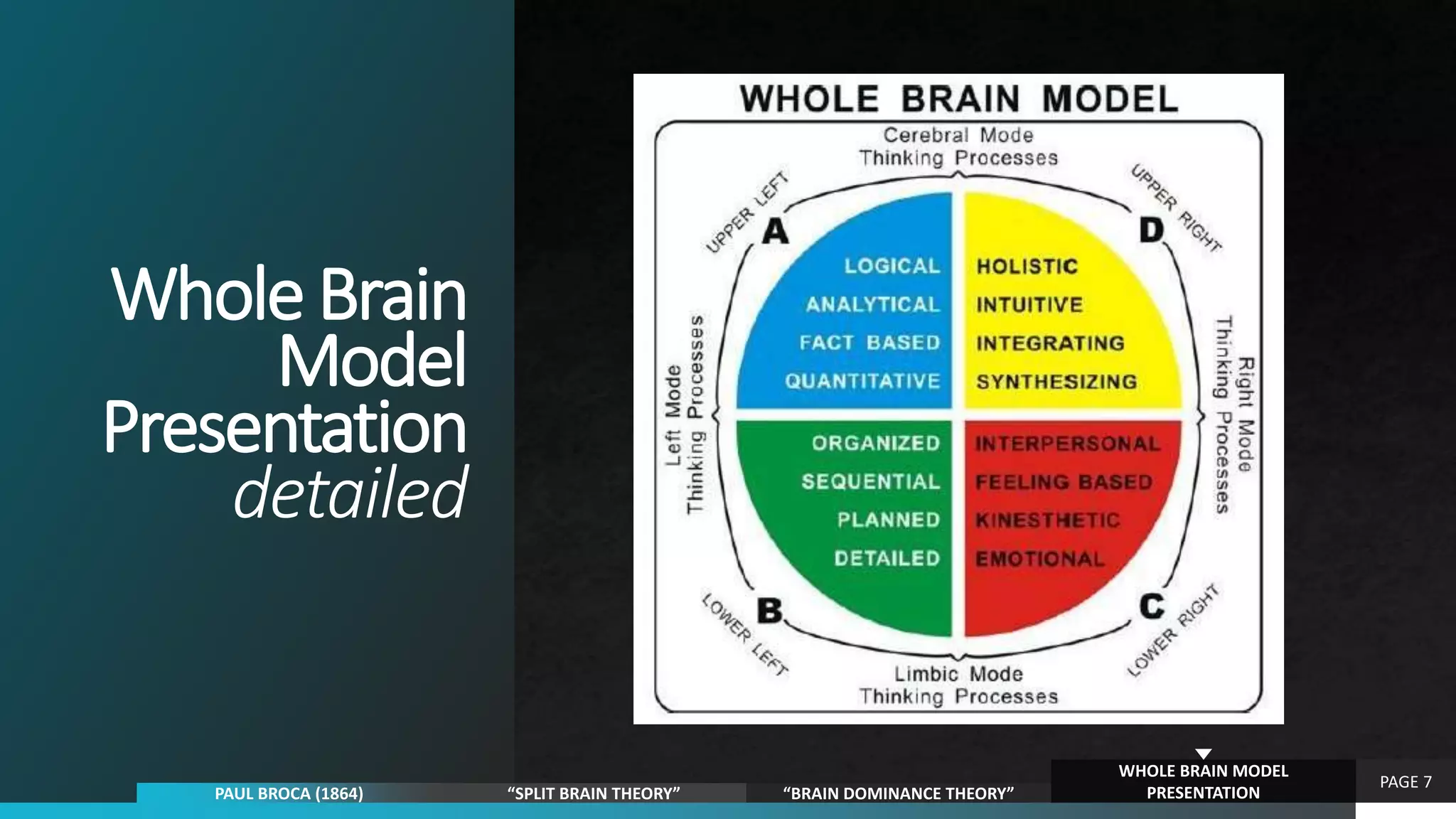 WholeBrain
Model
Presentation
detailed
PAGE 7
PAUL BROCA (1864) “SPLIT BRAIN THEORY” “BRAIN DOMINANCE THEORY”
WHOLE BRAIN MODEL
PRESENTATION
 