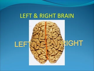 LEFT & RIGHT BRAIN