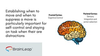 The Neuroscience of Attention Training | PDF