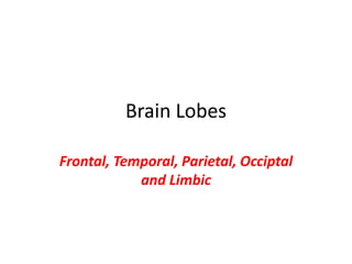 Brain Lobes
Frontal, Temporal, Parietal, Occiptal
and Limbic
 
