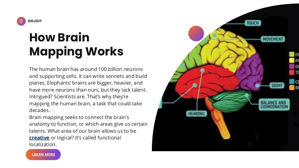 What Exactly is Brain Mapping 1 pdf - What Exactly Is Brain Mapping 1 Pdf 3 1024