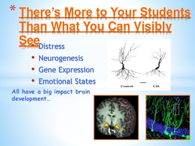Brain Matters March 5 Inservice Slide 10